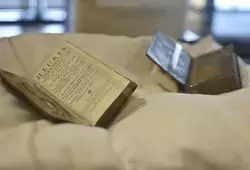 Exposition Caillard d’Aillières