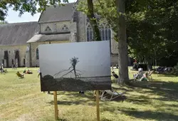 Siestes Teriaki