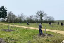 Greffes d’arbres fruitiers aux abords de la déviation de Saint-Calais !