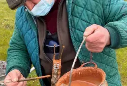 Greffes d’arbres fruitiers aux abords de la déviation de Saint-Calais !