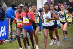 cross Ouest-France 2019