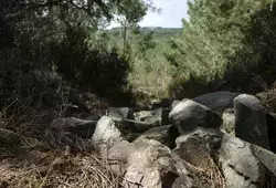 Un nouvel Espace Naturel Sensible à Brette-les-Pins