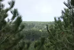 Un nouvel Espace Naturel Sensible à Brette-les-Pins