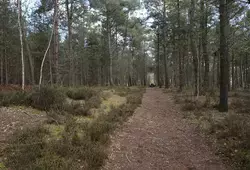 Un nouvel Espace Naturel Sensible à Brette-les-Pins