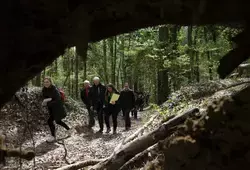 Un nouvel Espace Naturel Sensible à Brette-les-Pins