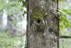 Un nouvel Espace Naturel Sensible à Brette-les-Pin