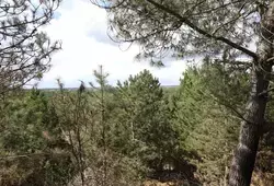 Un nouvel Espace Naturel Sensible à Brette-les-Pins