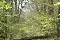 Un nouvel Espace Naturel Sensible à Brette-les-Pins