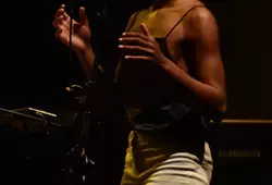 Concert d'Anne Paceo et son groupe
