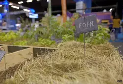 Foire du Mans - Un stand royal