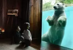 Zoo de La Flèche