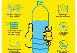 Informations canicule