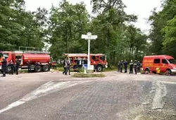 Feux de forêts : les sapeurs-pompiers mobilisés