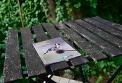 Le Département, le CAUE et la LPO ont conçu une plaquette consacrée aux oiseaux