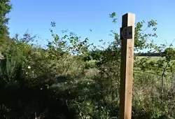 Inauguration des premiers itinéraires de Trail permanents au départ de Challes