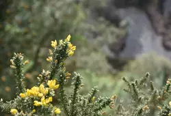 À la découverte de la Vallée de Misère