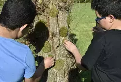 Land’art