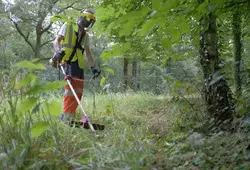 Tour de France en Sarthe : Le Département dans l’épreuve !
