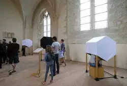 Découvrir la ruche avec ses 5 sens