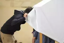 Découvrir la ruche avec ses 5 sens