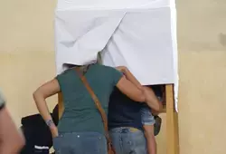 Découvrir la ruche avec ses 5 sens
