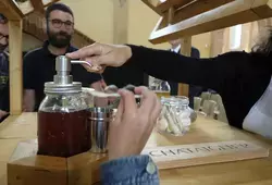 Découvrir la ruche avec ses 5 sens