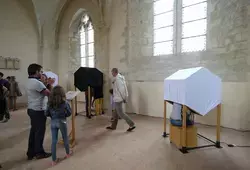 Découvrir la ruche avec ses 5 sens