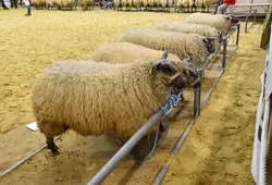 Le Département fier de ses agriculteurs