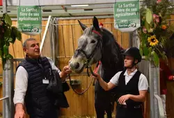 Raphaël Breton, éleveur de percherons à Bonnétable, avec Gueliat de Theuret