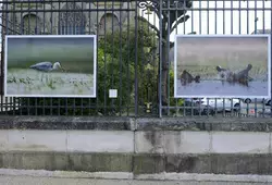 Nouvelle exposition sur les grilles de l’Hôtel du Département