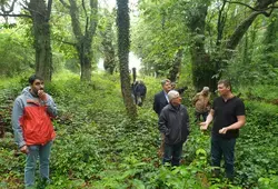 Un abri douillet pour le pique-prune !
