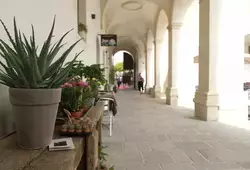 L'inauguration de la Visitation en images