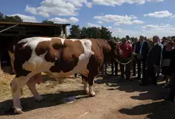 Visite de l'espace agricole