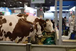 Les agriculteurs sarthois au Salon International de l'Agriculture