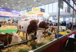 Les agriculteurs sarthois au Salon International de l'Agriculture