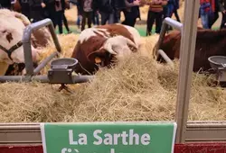 Les agriculteurs sarthois au Salon International de l'Agriculture