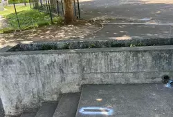 L'application du protocole en images