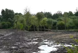 Image d'illustration de la zone humide de Bouloire