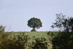 Image d'illustration de la zone humide de Bouloire