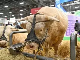 Salon de l’agriculture : les Sarthois à l’honneur !