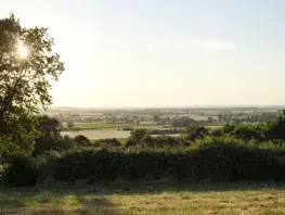 Taille de haie bocagère en Sarthe