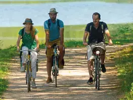 Vélobuissonnière®