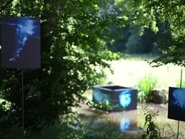Une nouvelle saison photographique débute à l'Abbaye Royale de l'Épau