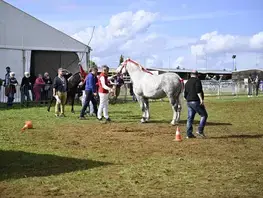 Inauguration de l'espace agricole de la Foire du Mans
