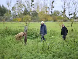 Le Département contribue à la reconstruction du bocage sarthois