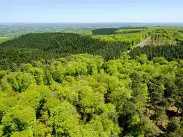 L'ONF et le Département renouvellent leur collaboration