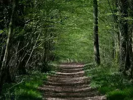 Découvrir ou redécouvrir les ENS, dans le respect de l’environnement !