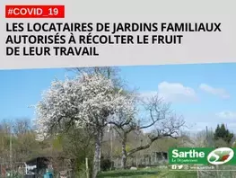 Récolte autorisée pour les locataires de jardins familiaux