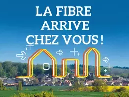 Fibre optique : la Sarthe en pole position des départements ligériens
