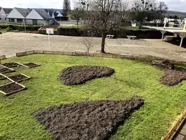 10 000 arbres pour demain : Le Département verdit aussi les collèges !